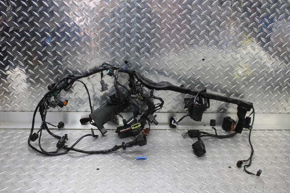 2013 TRIUMPH STREET ТРОЙНОЙ ГЛАВНЫЙ ДВИГАТЕЛЬ ЖГУТ ПРОВОДОВ ДВИГАТЕЛЯ ПРОВОДА ТКАЦКИЙ СТАНОК - Изображение 1 из 4