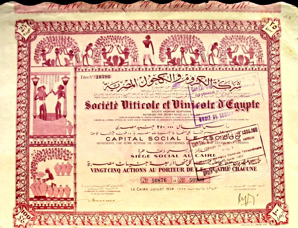 Soc. Viticole et Vinicole d'Egypte vino acciones + taza. Egipto El Cairo 1938 África Foto 1 de 1