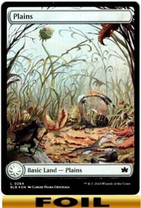 1x - PLAINS - #264 - FOIL FULL ART - Bloomburrow - NM MTG - Bild 1 von 1