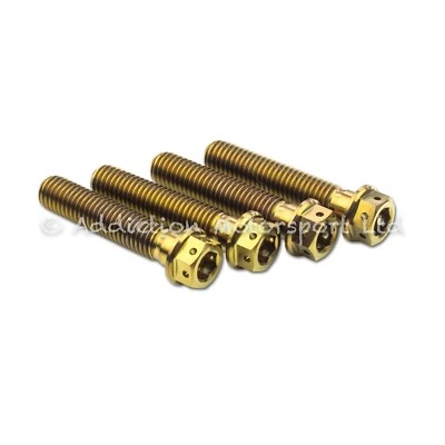 4x Tornillos de pellizco de horquilla de titanio bronce M8x40 mm para Suzuki GSX-1300bk B-King Foto 1 de 4
