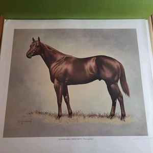 10 Color Of Horses Prints Doral Dickinson Framable  - Picture 1 of 17