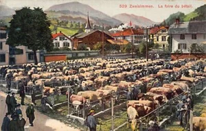 Schweiz - ZWEISIMMEN (BE) Der Viehmarkt - Verlag L. Burgy 529 - Bild 1 von 2