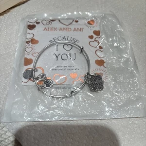Alex And Ani Because I Love You Sister Bracelet With Swarovski Crystal - Picture 1 of 6