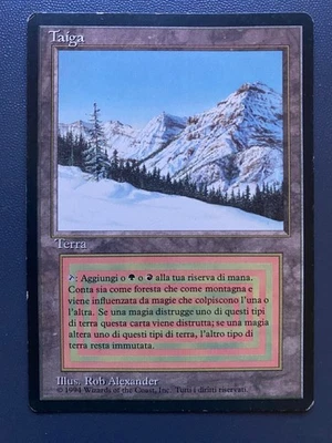 MTG Taiga Foreign Revised Italian Edition - Image 1 of 4