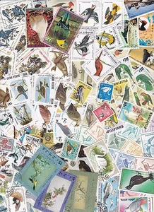 Y1018C - Verzameling/Collection/Sammlung - 100 diff. - Vogels / Birds/ Vögel - Imagen 1 de 1