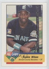 1994 Fleer ProCards Minor League Pookie Wilson #28