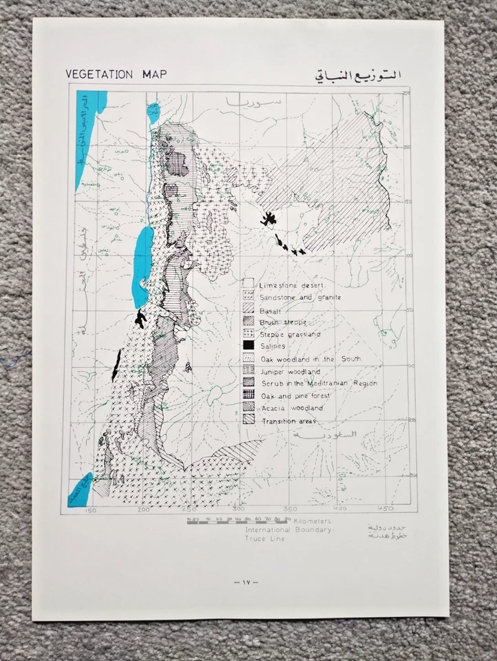 1973 Vintage Government Map of Jordan : Vegetation - Image 1 of 1