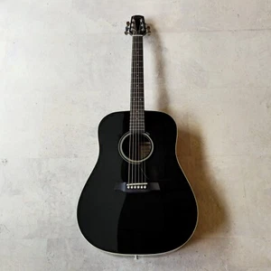 Walden Standard D350B Schwarz - Bild 1 von 8