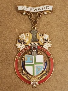 Vintage 1954 Gilt & Enamel Metal Royal Masonic Institute for Girls Steward Jewel - Picture 1 of 6