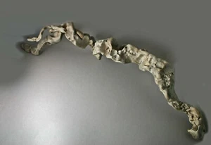 Bonsai natural Tree Okimono, For Bonsai, Suiteki or as Okimono sculpture - Picture 1 of 3