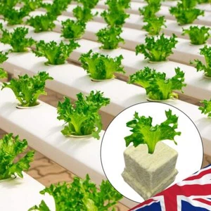 50pcs Rockwool Grow Cubes Starter Plugs Ventilative for Soilless Culture - Picture 1 of 7