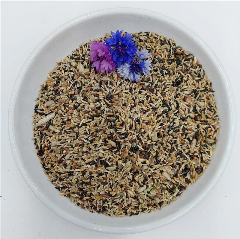 Bird-Box Stieglitzfutter Inhalt 5 kg