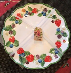S/4 PRIMROSE VINTAGE Strawberry & Fruits 10 3/4" Melamine Dinner Plates -- NWT - Picture 1 of 3