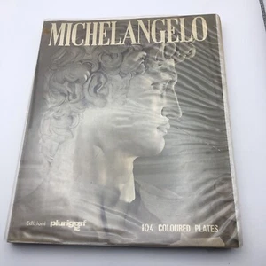 Michaelangelo Book by Lorreta Santini 1972 - Picture 1 of 6