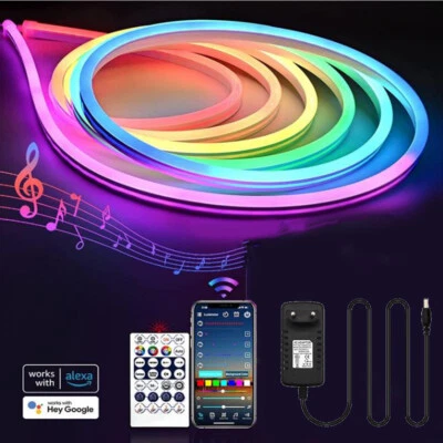 bluetooth APP control RGBIC LED Neon Strip light ws2811 Sign Neon rope lamp 12V - Image 1 of 4