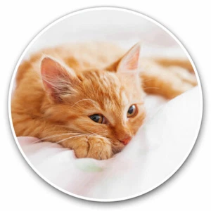2 x Vinyl Stickers 20cm - Sweet Ginger Kitten Cat Cool Gift #21071 - Afbeelding 1 van 9