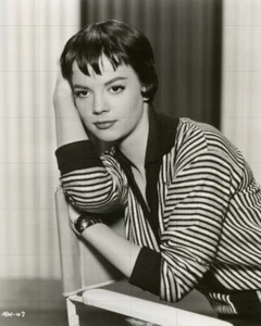 NATALIE WOOD - 10" x 8" b/w Warner Bros. Studio Portrait Photograph 1950s - Imagen 1 de 1