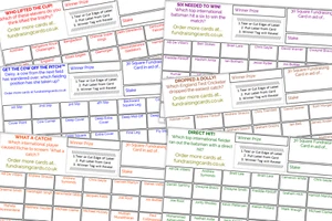 Cricket Fundraising Cards A6 Free Postage Scratch Raffle Ticket Draw Value Pack - Picture 1 of 14