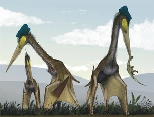 Quetzalcoatlus Flugsaurier GLÄNZEND POSTER BILD FOTODRUCK BANNER 14945 - Bild 1 von 1