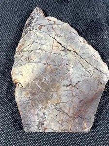 Exotica Sci-Fi Porcelain Jasper Slab 231 g Mexico, veining/purple matrix - Picture 1 of 4