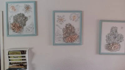 3D ракушки искусства на холсте - Изображение 1 из 4