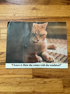 RARE Vintage 1978 Morris the Cat 9-Lives Funny Laminated Ad Poster 8.5" x 11" - Picture 1 of 3