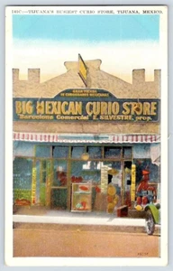 Tijuana Baja California Mexico Postcard Big Curio Store c1920s - Picture 1 of 2