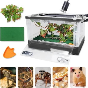 Foldable Reptile Terrariums Kits with Plant, Feeding Bowl, Carpet, Easy to Carry - Picture 1 of 6