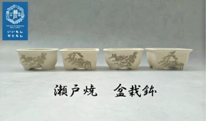 Juego de 4 ollas pequeñas Seto Ware olla bonsai japonesa - Imagen 1 de 24