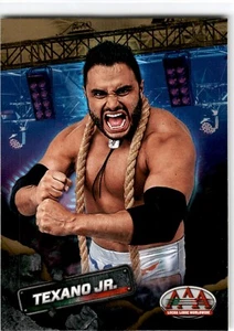 Panini AAA Lucha Libre Gold SP 2019 Texano Jr #47 - Imagen 1 de 2