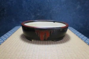 Echte japanische Bonsaischale "Terahata Satomi" - Bild 1 von 14