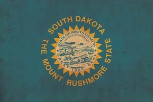 Vintage South Dakota Flag on Canvas, Flag, Wall Art, South Dakota Photo flag on - Picture 1 of 6