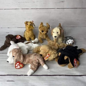 TY Beanie Babys Paket 9 Hunde Fetcher Rufus Doby kleine Schnurrhaare Butch mit Etikett - Bild 1 von 10