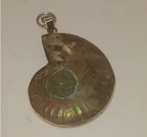 NAUTILUS SHELL Pendant - Picture 1 of 4