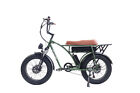 20" Fat Tyre E Bike 48V Dual Motor 2000W All Terrain LCD E-Bicycle City Bike US