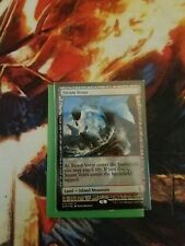 Steam Vents Expedition (Near Mint Foil) MTG