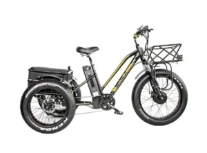 BPM T950 Fat Tire 3 Wheel Electric  Trike Tricycle  48v - Picture 1 of 10