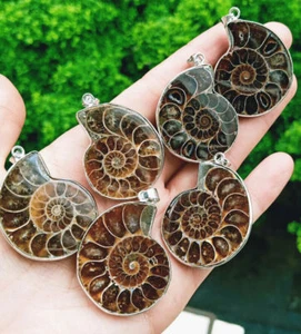 10pcs Natural Ammonite Fossil Pendant Chakra Reiki Healing Amulet Energy - Picture 1 of 1