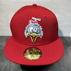 Hartford Yard Goats - Whirlybirds Sombrero Edición Limitada MILB Talla 7 1/8 Gorra H41 - Imagen 1 de 8