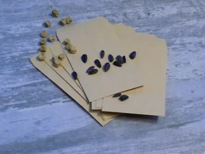 10 x Kraft Paper Seed Pocket / Bags / Envelopes 100x60mm - Gum Free - Picture 1 of 1