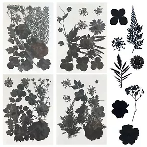 4 Pack Dried Flowers for Resin Molds 64 Pcs Real Natural Dried Pressed Flower... - Picture 1 of 7