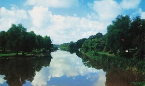 Bayou Teche St Martinville LA Vintage Postcard - Picture 1 of 2