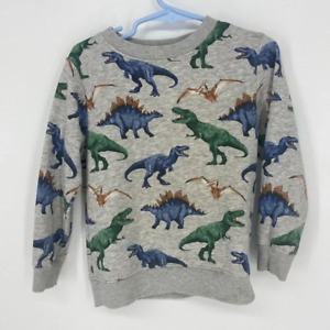Boys Kids Sz 2-4Y H&M Dinosaur Dino Sweatshirt Top Sweater Comfy Casual 2106