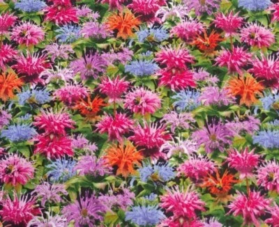 Bálsamo de abejas tela floral naturaleza ELIZABETHS ESTUDIOS colchas algodón POR YARDA Foto 1 de 2