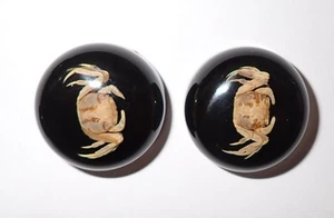Cabochon River Crab Specimen Round 25 mm on Black Bottom 2 pieces Lot - Picture 1 of 14