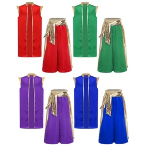 Boys Outfit Character Set Arab 2 Piece Fairytale Pumpkin Pants Theme Metallic - Picture 1 of 34