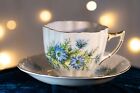 Bone china tea cup and saucer 60+ years old, Royal Prince/Hall Bros, blue floral