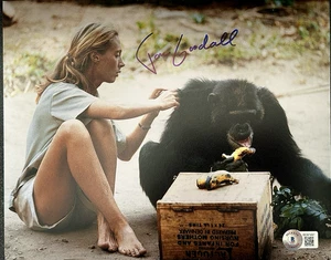 FOTO 8x10 de Jane Goodall certificado de autenticidad firmado por Beckett autógrafo conservación de la vida silvestre - Imagen 1 de 3