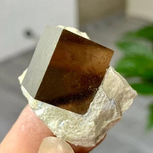 48G Natural Raw Atone Spanish Pyrete Cubic crystal quartz mineral sample - Picture 1 of 24