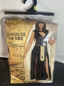 Spirit Women's Exquisite Cleopatra Costume Queen Of Nile Blk/Gold Dress Sz Med - Picture 1 of 3